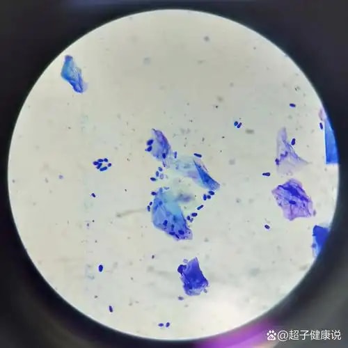 无菌隔离检测服务