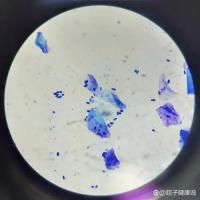 无菌隔离检测服务
