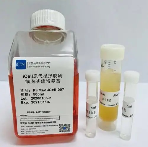 人原代角质细胞