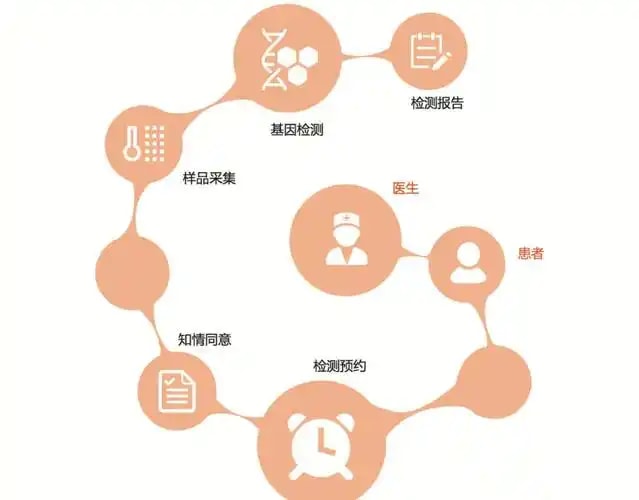 核型分析服务