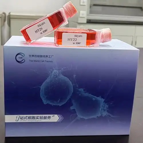 干细胞诱导因子包