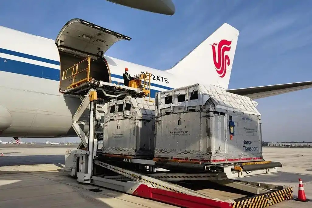 航空冷链托运箱